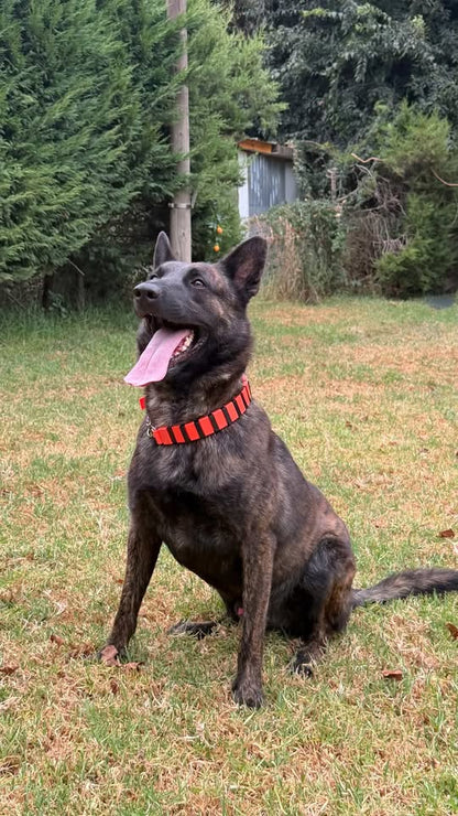 INSTINT K9 Gear— Collar Profesional de Adiestramiento K9